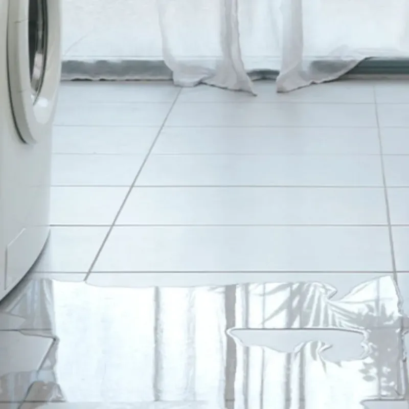 Appliance Leak Cleanup in Brevard, NC