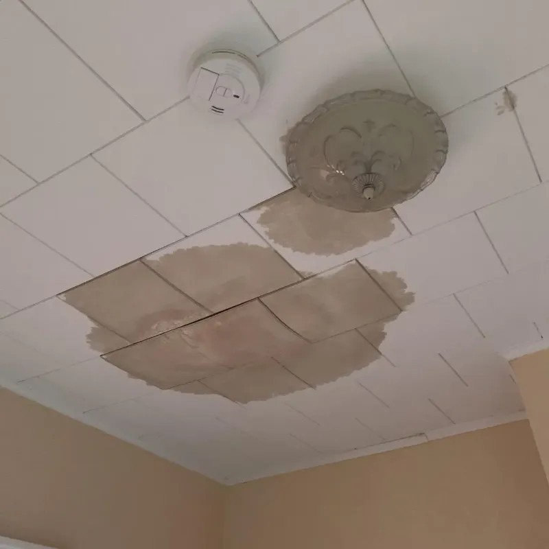 Ceiling Water Damage Repair in Brevard, NC