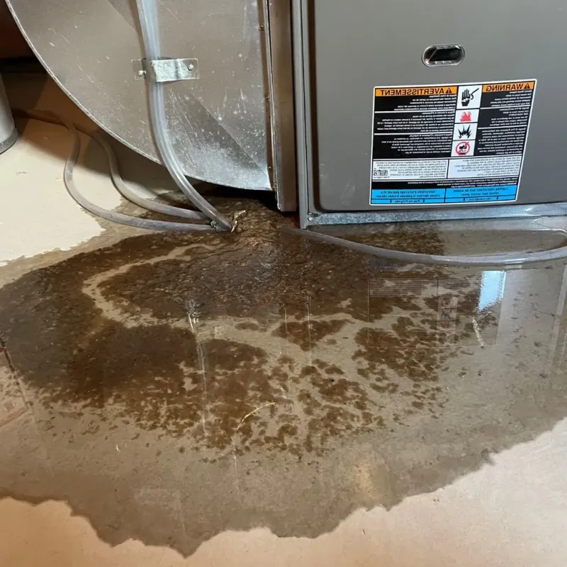 Pipe Burst and Leak Restoration in Brevard, NC